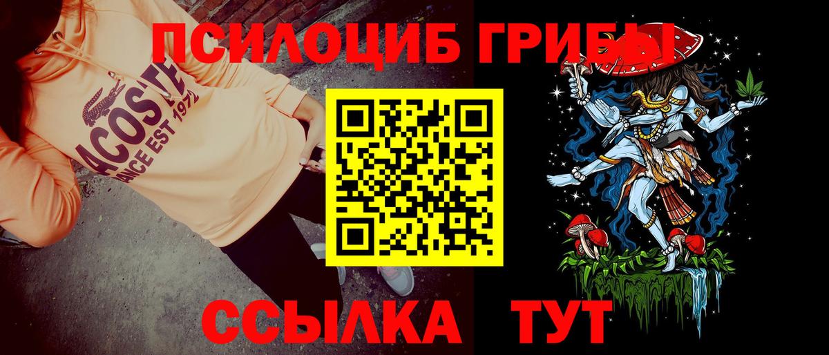 Галлюциногенные грибы прущие грибы Кузнецк